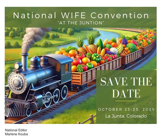 Property Rights Report